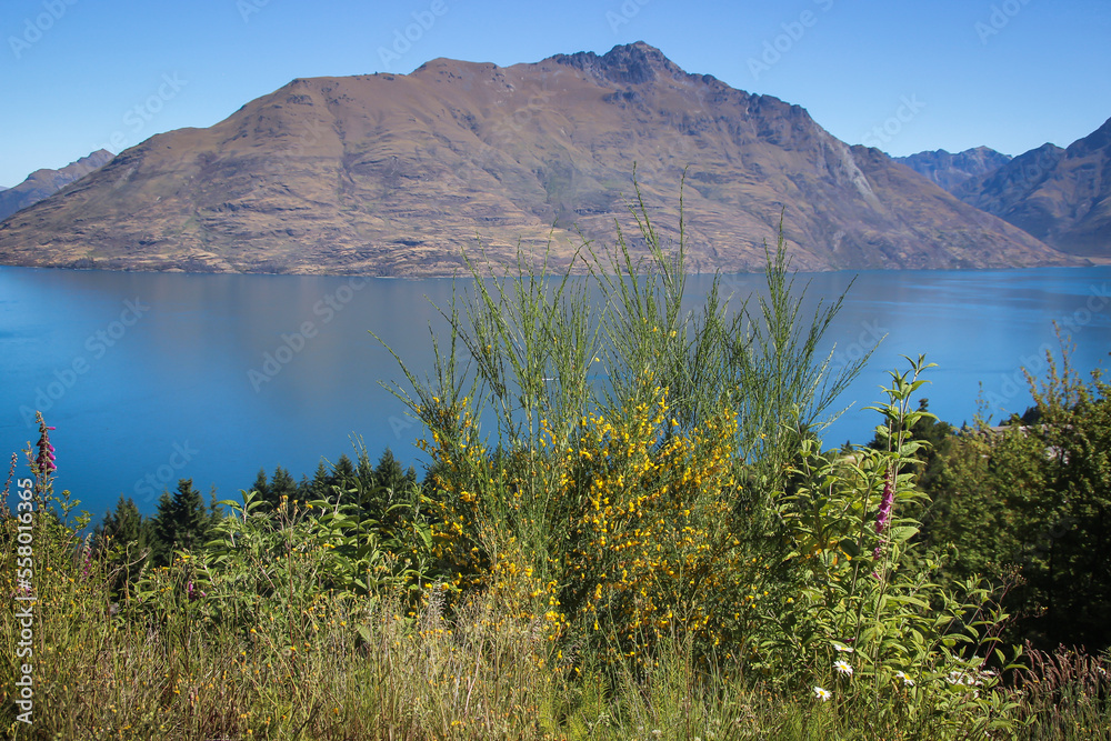 Qeenstown stunning views, beautiful scenery and landscape, mountains and lakes, South Island, New Zealand