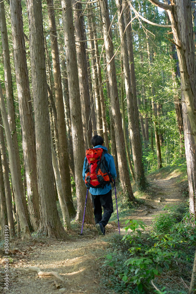 ソロ登山をする男性の後ろ姿