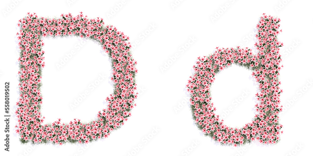 Concept or conceptual set of beautifull blooming lilies bouquets forming the font D. 3d illustration metaphor for education, design and decoration, romance and love, nature, spring or summer.