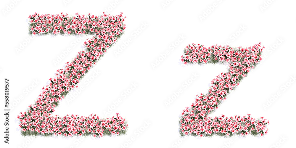 Concept or conceptual set of beautifull blooming lilies bouquets forming the font Z. 3d illustration metaphor for education, design and decoration, romance and love, nature, spring or summer. Concept or conceptual set of beautifull blooming lilies bouquets forming the font Z. 3d illustration metaphor for education, design and decoration, romance and love, nature, spring or summer.