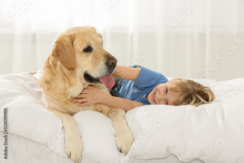 Wallpaper Mural Cute little child with Golden Retriever on bed at home. Adorable pet Torontodigital.ca
