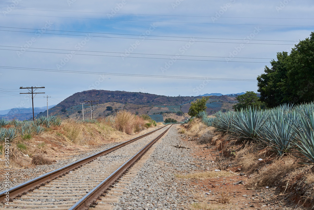 vias del tren, tequila, jalisco, amatitan Stock Photo Adobe Stock