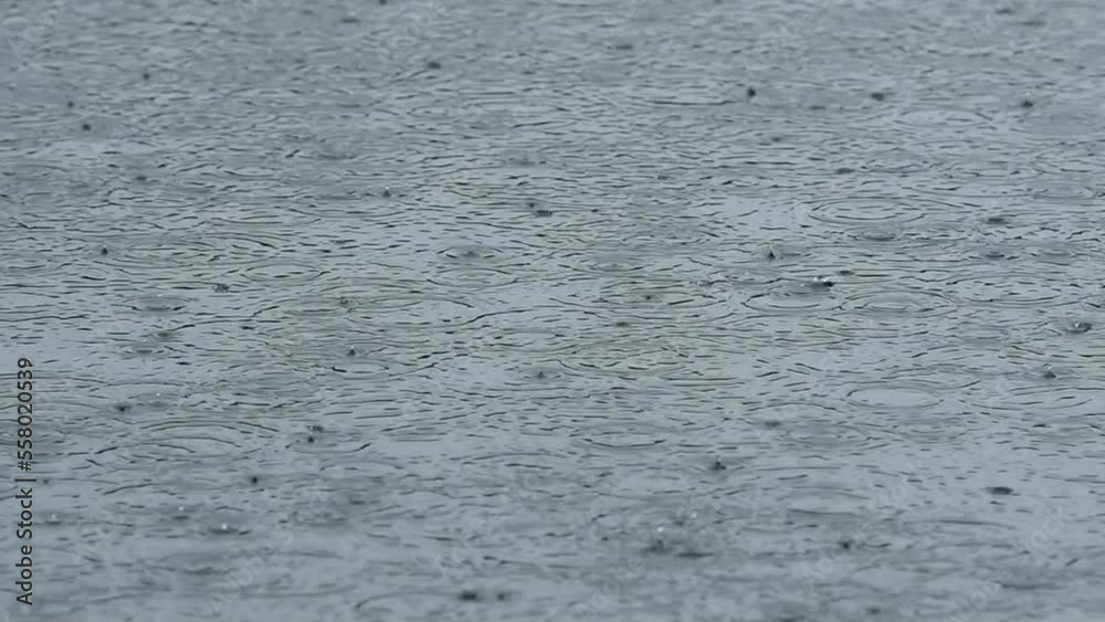 水面の雨粒と波紋 水面の雨粒と波紋