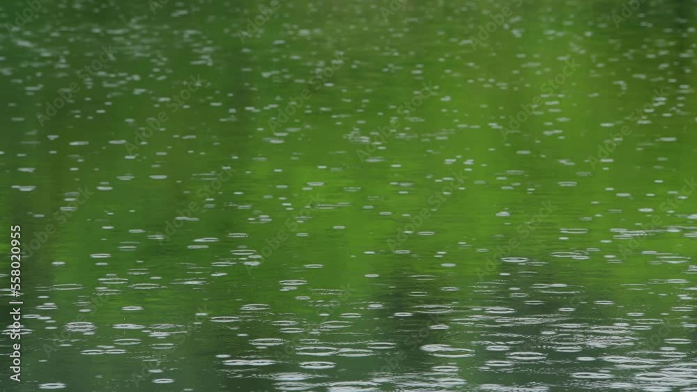 高原の湖に降る雨と波紋 高原の湖に降る雨と波紋
