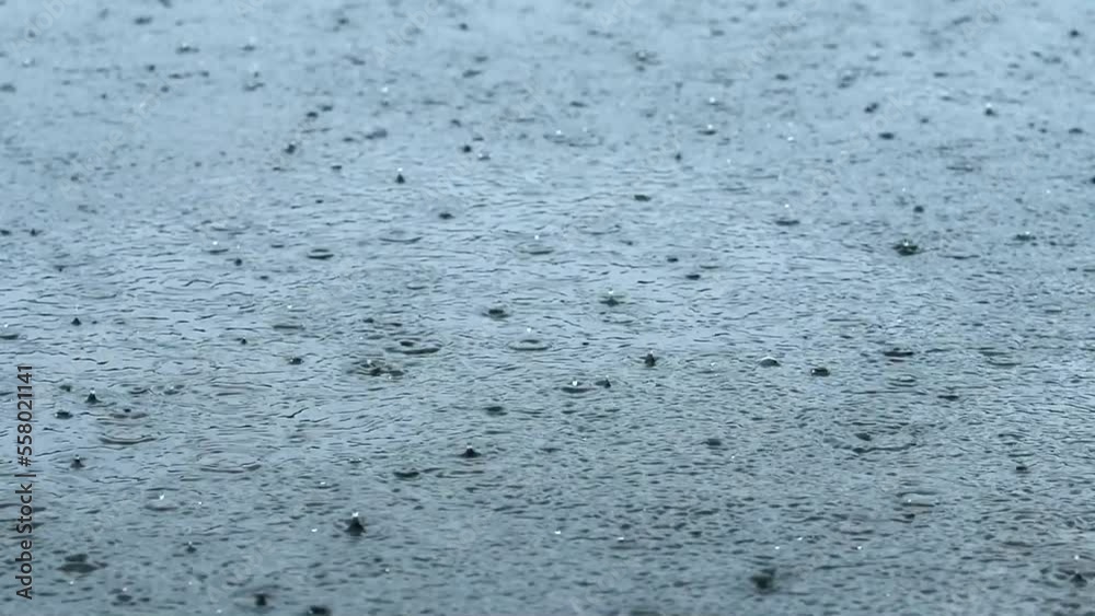 水面の雨粒と波紋 水面の雨粒と波紋