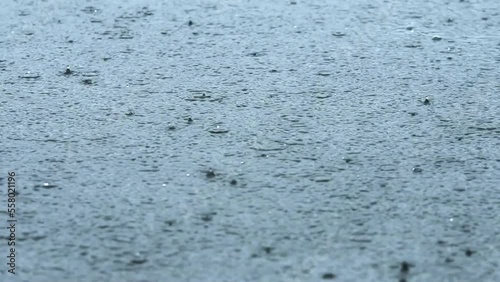 水面の雨粒と波紋