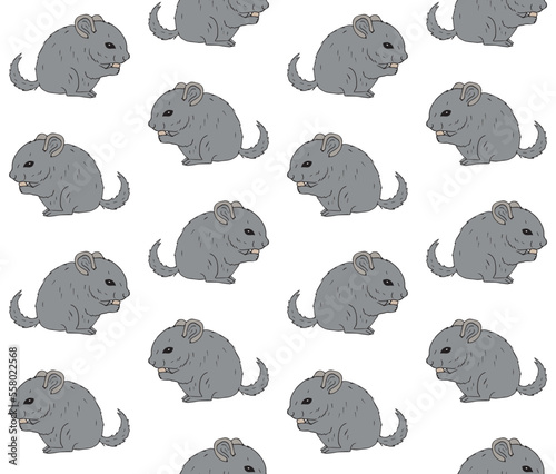 Vector seamless pattern of hand drawn doodle sketch colored chinchilla isolated on white background