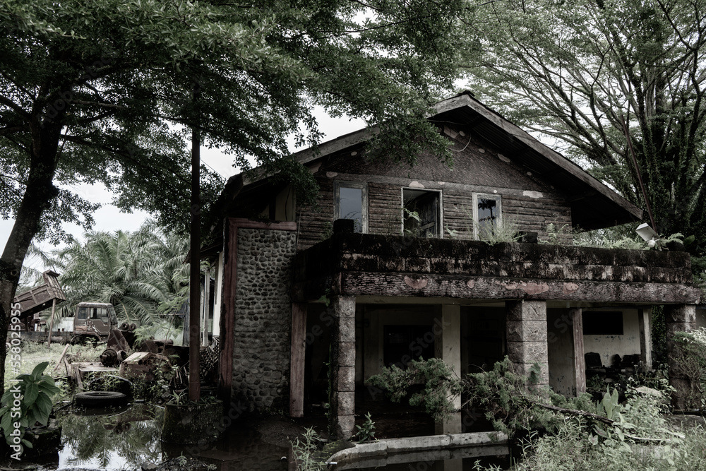 Side view of an abandoned old style wooden house with some plants growing around it with scary vibes Side view of an abandoned old style wooden house with some plants growing around it with scary vibes