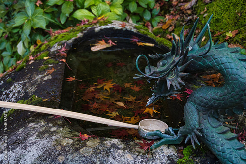 神社境内　秋の風景
