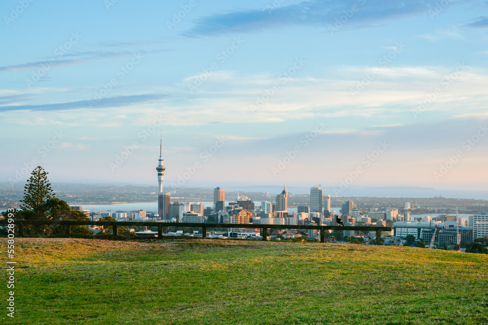 Auckland city skyline from top Mount Eden