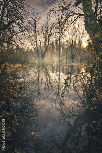 morning on the river