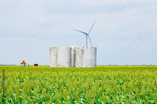 Valokuva Wind turbine in an agriculture field of maize with oil tanks surrounding it near Corpus Christi, Texas