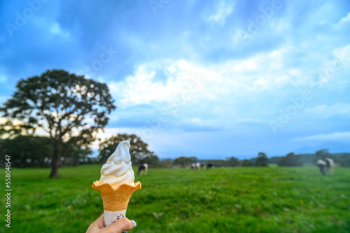 牧場とソフトクリーム

