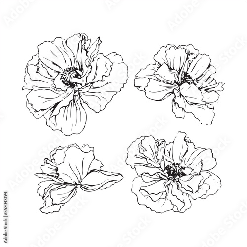 Abstract flower vector 