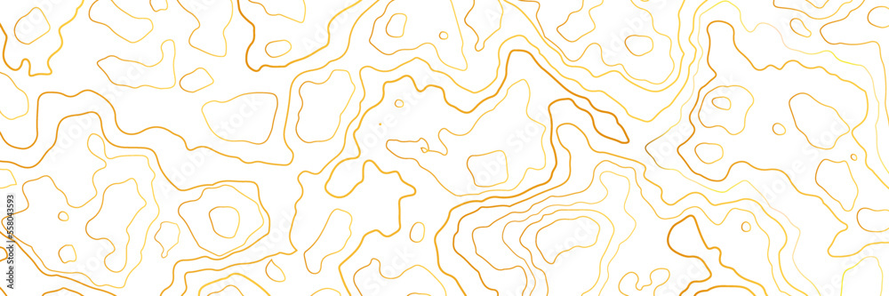 Golden contour lines isolated on white background. Panorama view vector illustrator