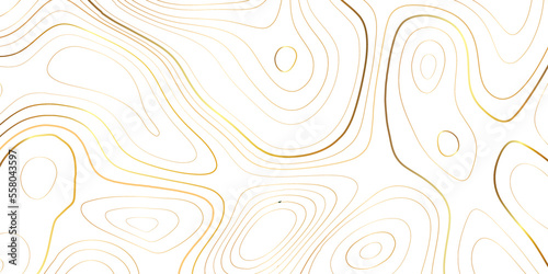 Luxury gold abstract topographic map background with golden lines texture, 17:9 wallpaper design for fabric , packaging , web, geographic grid map vector illustration.