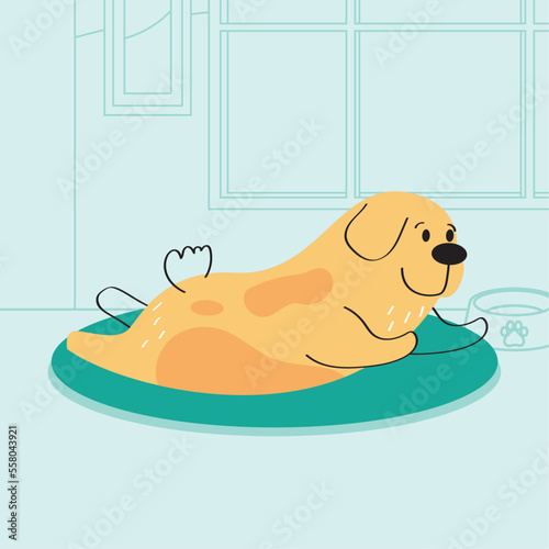 cute yellow dog lying