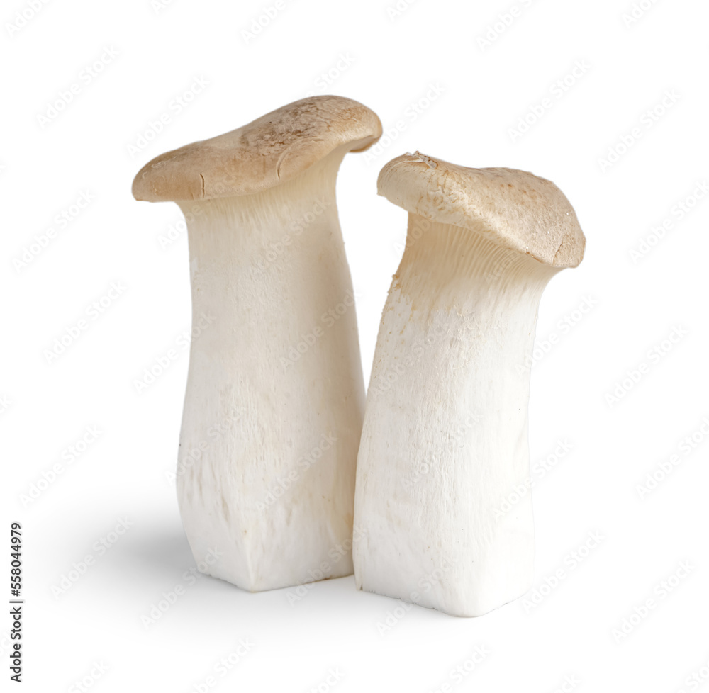 Fresh king oyster mushrooms on white background Fresh king oyster mushrooms on white background