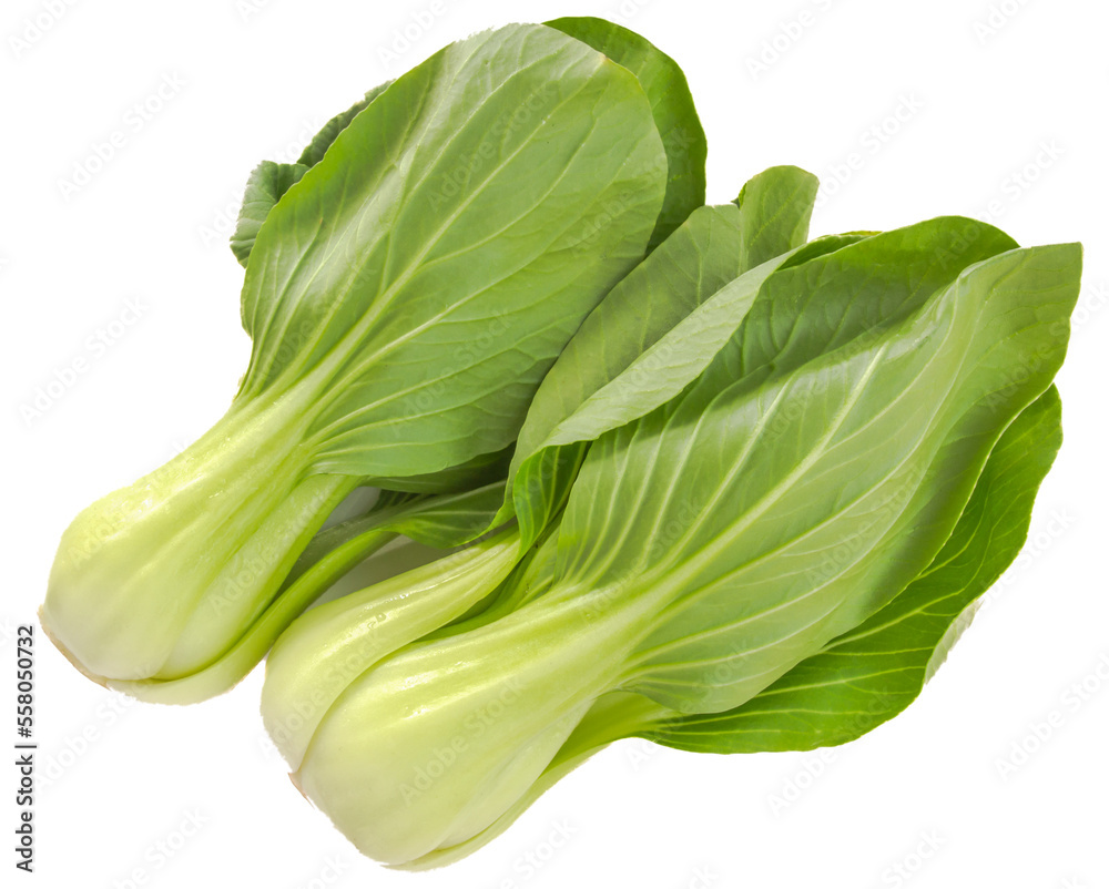 Fresh Chinese cabbage. Fresh Chinese cabbage.