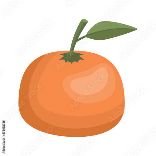 orange citrus fruit