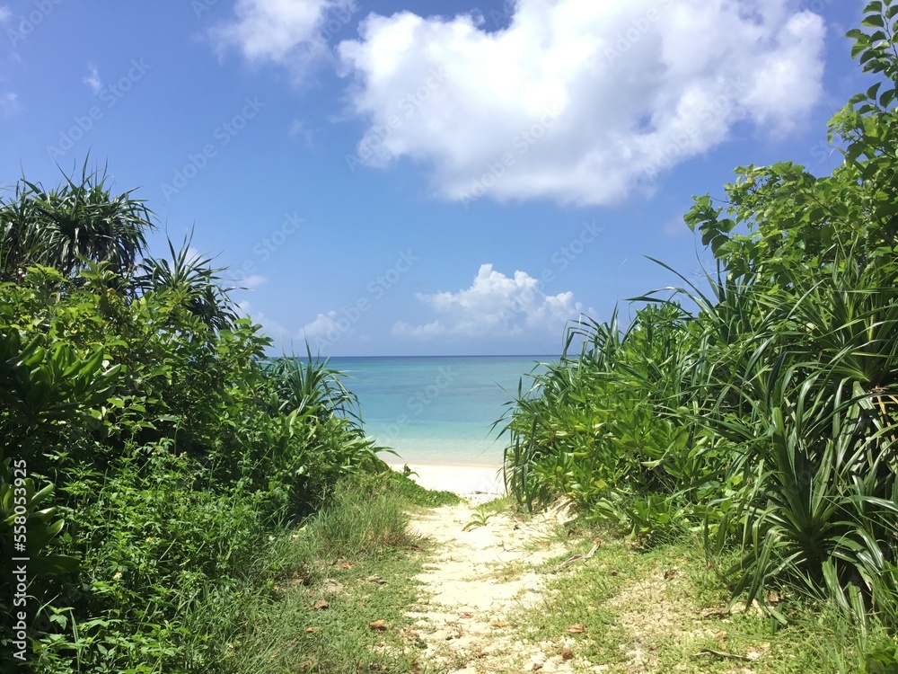 A photo of beach in Ishigaki island, Okinawa, Japan. The photo was taken on a sunny day in mid-September.