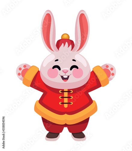 happy chinese rabbit