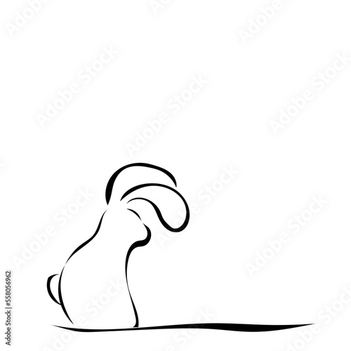 Hase