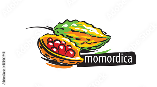 Drawn Momordica isolated on a white background