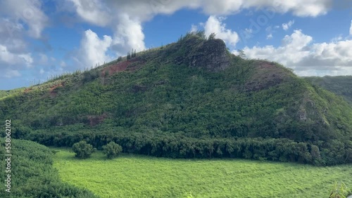 Pano of river in Kaui photo