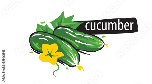 Drawn Cucumbers isolated on a white background