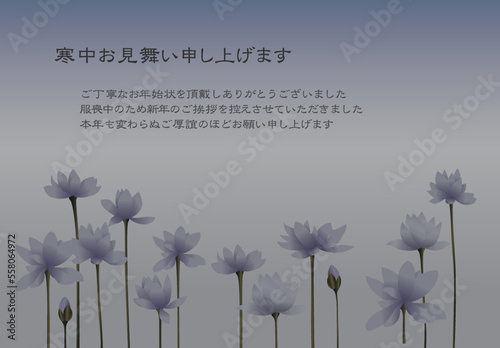 喪中　寒中見舞い　故人を偲ぶように咲き誇るブルーの蓮の花
