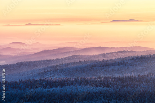 Amazing winter landscape scene during pleasant sunrise. Peaks of mountains and hills in the distance peaking through low fog. Golden light shining through the trees  making shadows stand out even more