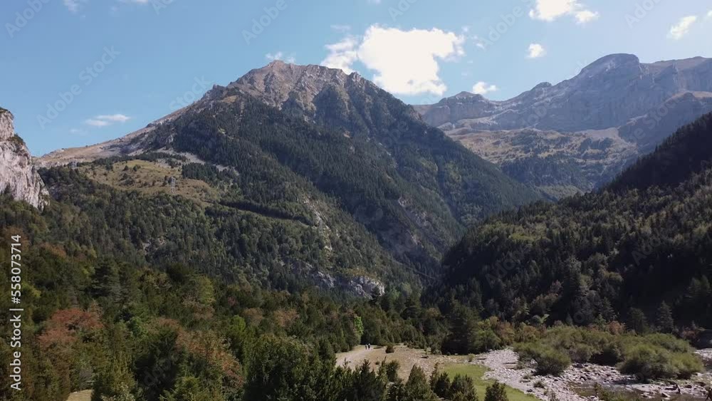 Flying over a valley of pine trees in the Pyrenees
