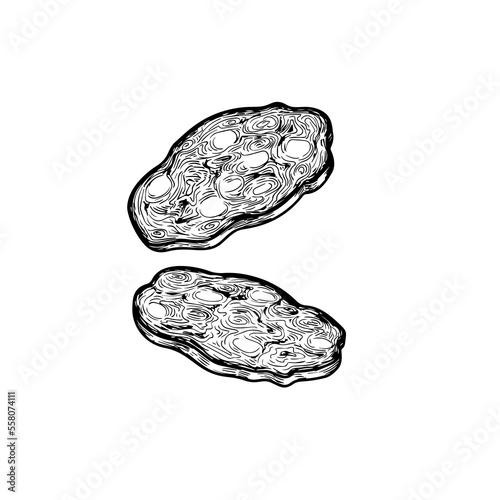 Salami dry sausage slices in vintage style. Hand drawn sketch style butchery product. Best for package and market advertising design. Vector illustrations isolated on white background.