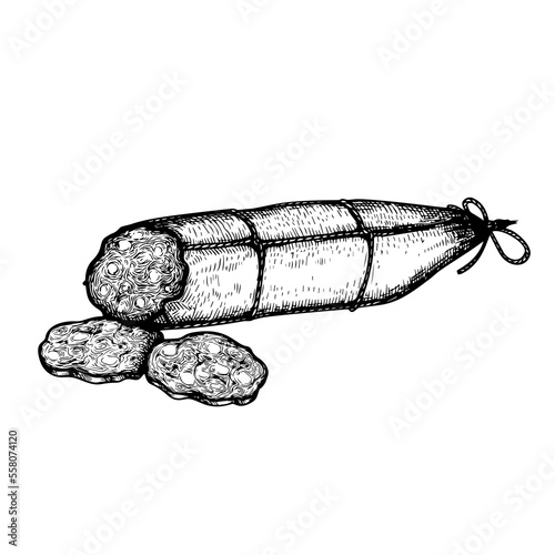Salami dry sliced sausage in vintage style. Hand drawn sketch style butchery product. Best for package and market advertising design. Vector illustrations isolated on white background.