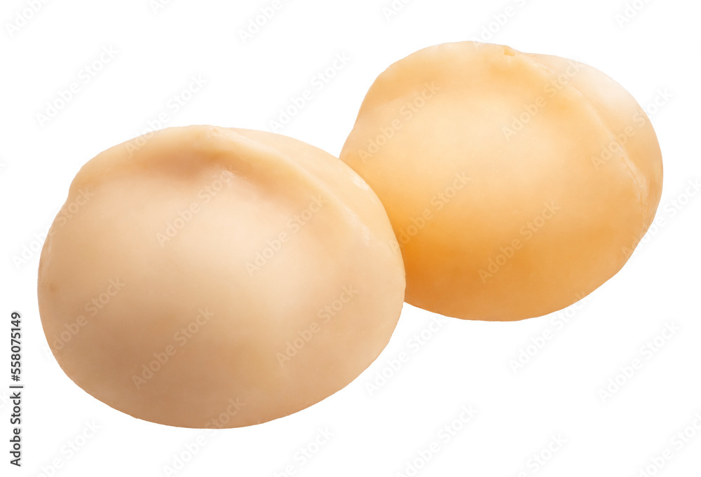 Macadamia nut on white background, Roasted Macadamia nut on White Background PNG file. Macadamia nut on white background, Roasted Macadamia nut on White Background PNG file.