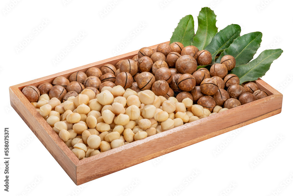 Macadamia nut with leaf in wooden plate on white background, Roasted Macadamia nut on White Background PNG file. Macadamia nut with leaf in wooden plate on white background, Roasted Macadamia nut on White Background PNG file.