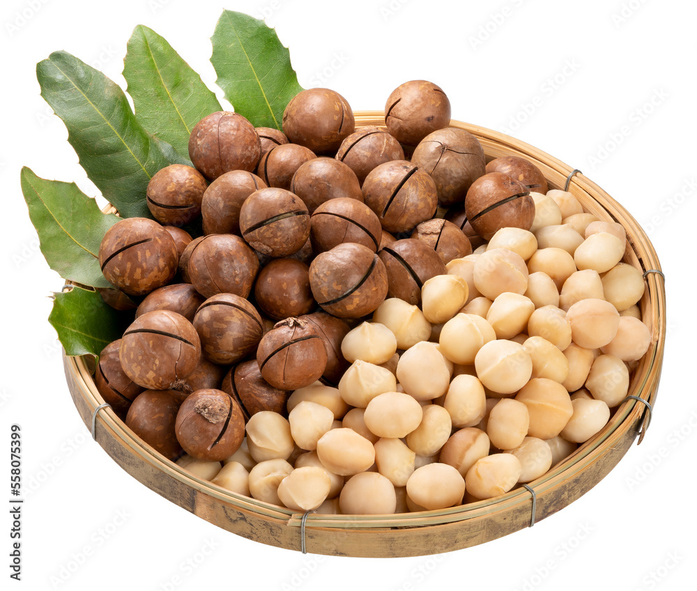 Macadamia nut with leaf in wooden plate on white background, Roasted Macadamia nut on White Background PNG file. Macadamia nut with leaf in wooden plate on white background, Roasted Macadamia nut on White Background PNG file.