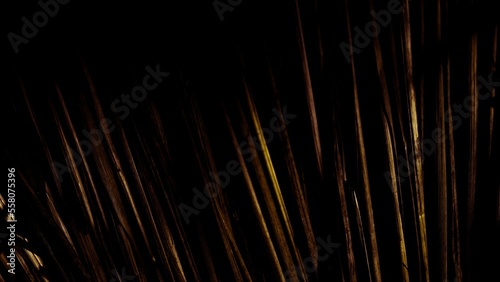 fireworks in the sky