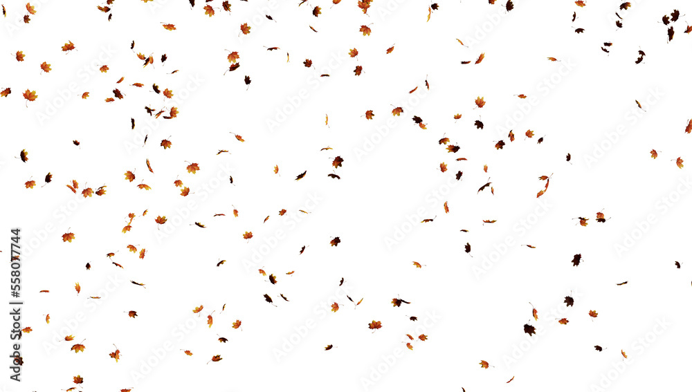 Falling leaves on transparent background.