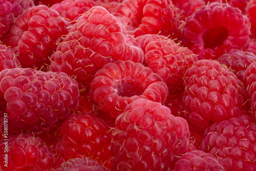 raspberries isolated