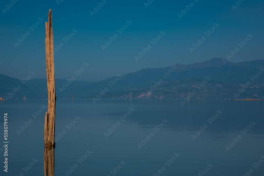 A dead tree in a vast, beautiful reservoir. A dead tree in a vast, beautiful reservoir.