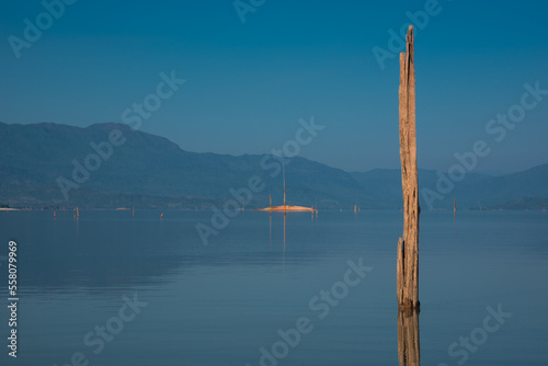 A dead tree in a vast, beautiful reservoir.