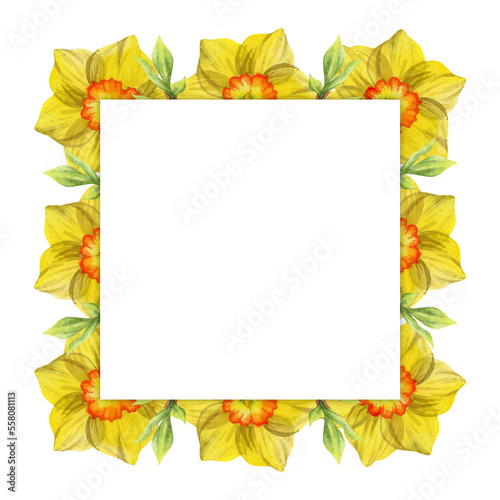 Watercolor hand drawn square frame with spring flowers  daffodils  snowdrops  branches  leaves. Isolated on white background. Design for invitations  wedding  greeting cards  wallpaper  print  textile