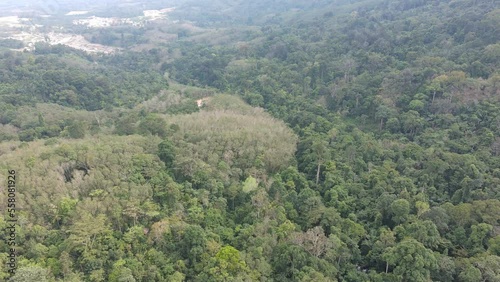 aerial view of green tree and waterfall flowing.beautiful and majestic nature in tropical rainforest.fly and rotate the camera over waterfall from top in bird eye view