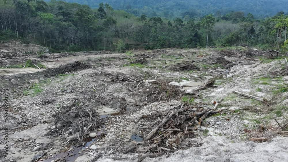 Aerial view of horrible deforestation for wood, logging, environmental destruction on mountain. Ecology concept change tree forest drought and forest refreshing, flying forward over a felled forest