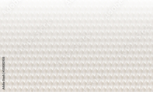 Abstract Background. Embossed white Background, light and shadow white Gray empty room studio grade