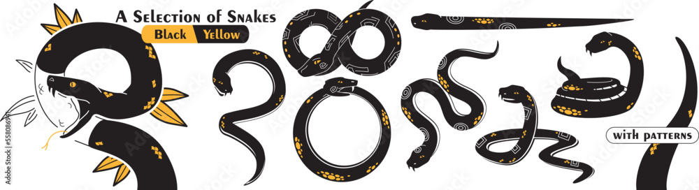 Naklejka premium Vector graphics. A selection of snakes. With patterns. Black and yellow.