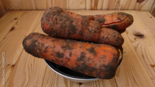 Close-up rotating of fresh carrots on a wooden table in a metal dish.