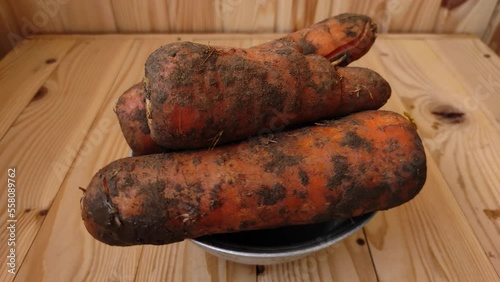 Close-up rotating of fresh carrots on a wooden table in a metal dish.